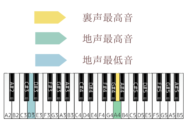 ひまわりの約束