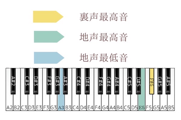 ダンスホール 音域