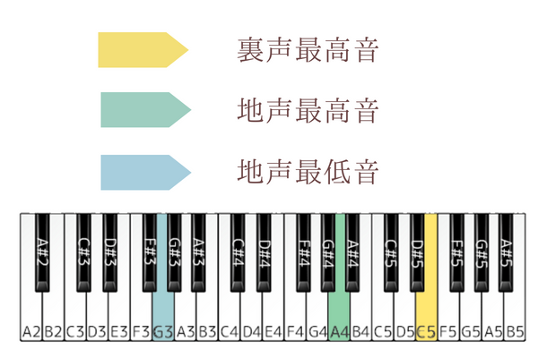 ドライフラワー　音域