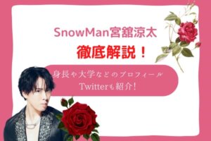 宮舘涼太とは